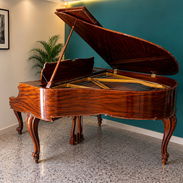 SE VENDE PIANO DE COLA - Img 58041248