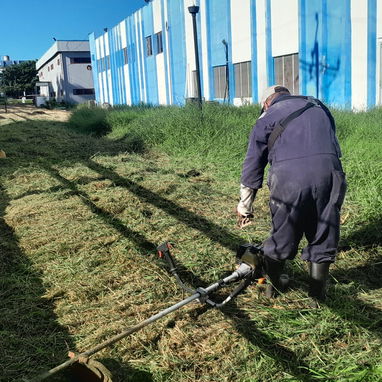 jardinería y mantenimiento de exteriores - Img 120784988