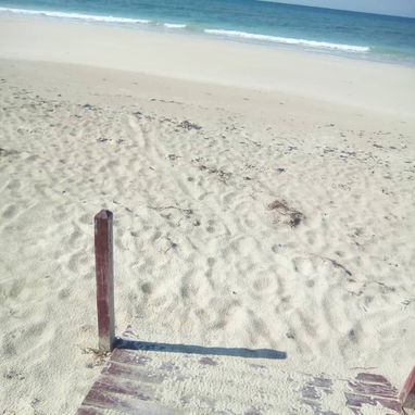 Alquiler de Casa en la playa con piscina  en Boca Ciega📲 Renta de casa en la playa con piscina en Habana del Este - Img 98162816