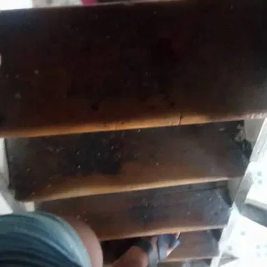Hola en venta app 2 piso en Centro Habana en Reina en la misma calzada se deja con todo 2500 - 9/10