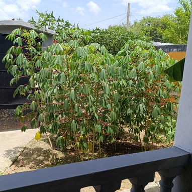 Vendo casa Grande 23 000 usd. más Fotos y detalles al WhatsApp, aquí solo se deja poner 10 fotos - 10/10