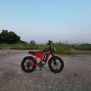 BICICLETA ELÉCTRICA DTTZH F6 - 2/3