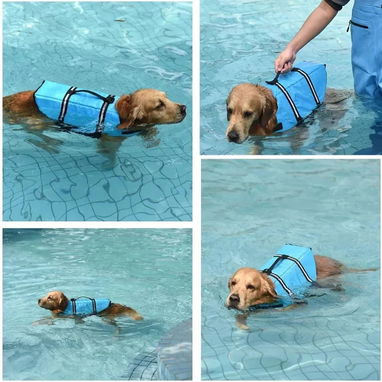 Chaleco Salvavidas para Perros / Talla M / Azul - 3/5
