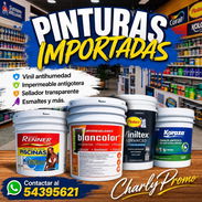 VENTA DE PINTURA - Img 56818690