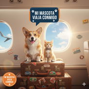 AGENCIA DE VIAJES DE MASCOTA - Hacemos toda la documentación por usted - Img 52140937