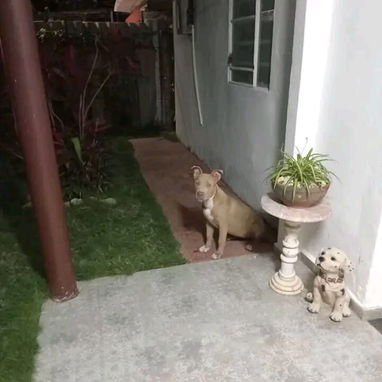 OPORTUNIDAD ÚNICA 🏡🏡🏡 CASA TOTALMENTE INDEPENDIENTE !!!  Espectacular Propiedad a una cuadra de 5ta Avenida.  Ramirit - 4/5