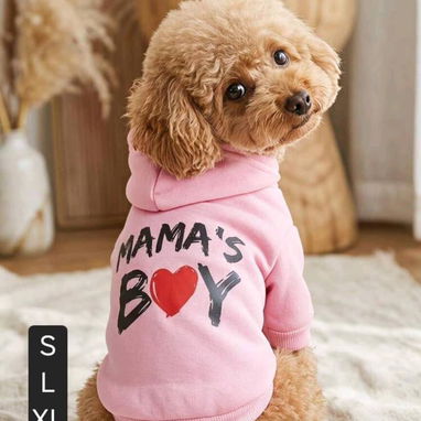 Ropa Navidad para Mascotas - 4/6