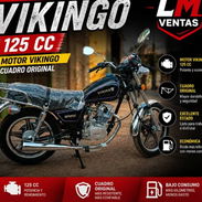 Motor viquing 235 cc - Img 56362354