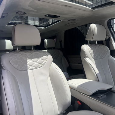 Hyundai palisade 2021 galifrafi - 3/3
