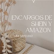 Encargos de SHEIN y Amazon - Img 45801349