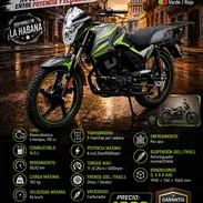 🏍️JIN 🏍️ 150 CC - MOTO A ESTRENAR - CON FACTURAS - GARANTÍA Y LISTA PARA CHAPA. 📲 54833699 - Img 56841258