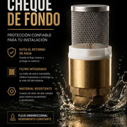 Cheque de Fondo - Img 55004458