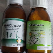 Amoxicilina en suspensión 250mg - Img 58436139