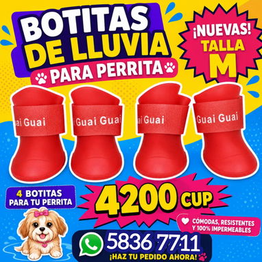 Accesorios para Perritos - Img 124767462