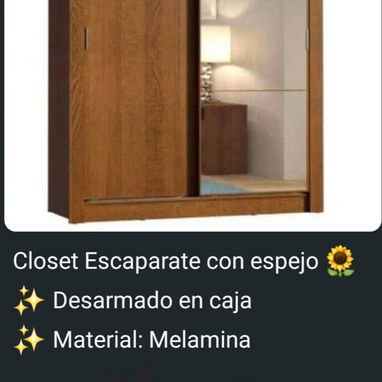 Closet portátil con lona (escaparate), closet con zapatera y organizadores de ropa y cartera - 6/9