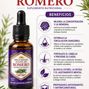 Aceite Romero - Img 56376877