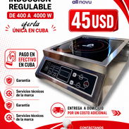 Inducción Regulable - Img 56125678
