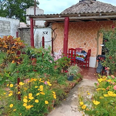 Acogedora casa hostal de renta en Viñales. - Img 116282704
