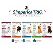 SIMPARICA TRIO / contra pulgas y garrapatas - Img 56458319