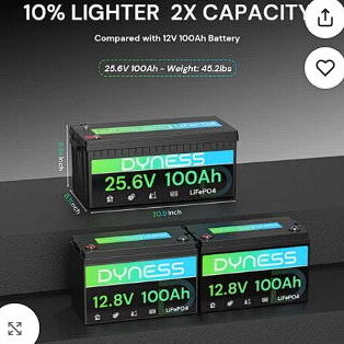 Batería LiFePO4 24V 100Ah (2560Wh) Dyness con BMS 100A - 2/5