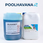 Alguicida producto ideal para prevenir las algas de tu piscina - Img 57034978