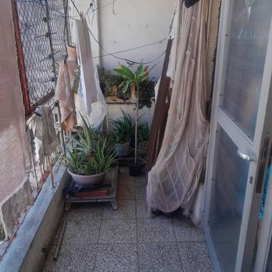 ❗❗Casa en Centro Habana ❗❗ - Img 122824597