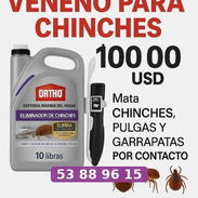 Veneno para chinches 5 lb con dispensador - Img 57198358