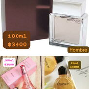 Perfumes - Img 45339817