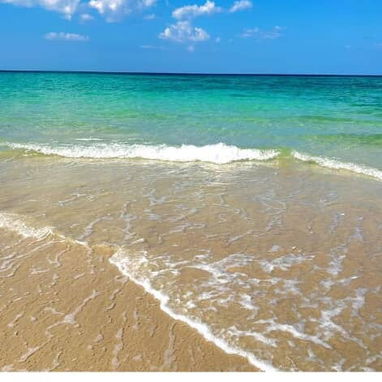Alquiler de Casa en la playa con piscina  en Boca Ciega📲 Renta de casa en la playa con piscina en Habana del Este - Img 98162810