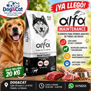 PIENSO IMPORTADO PARA PERROS ADULTOS. BOLSA 20 KG - Img 57751222