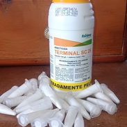 Pipetas de fipronil para eliminar pulgas y garrapatas - Img 54695167