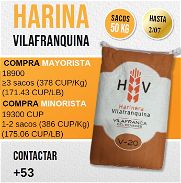 Harina de trigo Vilafranquina 50Kg - Img 46216583