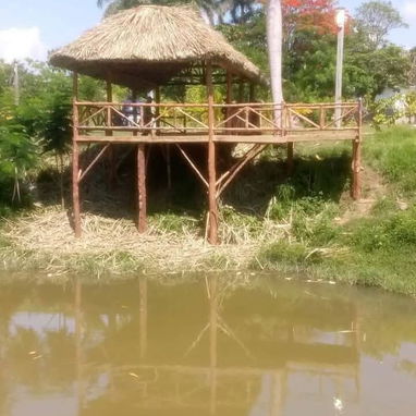 🌴RANCHÓNES, SOMBRILLAS, CASAS, ETC🌴 - 7/10