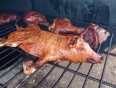 Cerdos y piernas asadas con comida criolla - Img 65198639