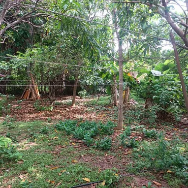 Se vende Casa independiente - Img 123253435