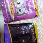 Comidas húmedas para gatos - Img 55976531