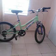 Bicicleta - Img 55709521