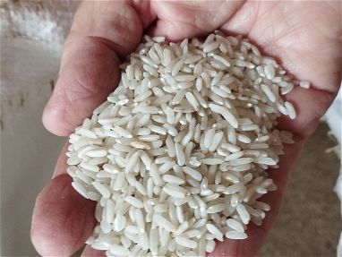 Saco de arroz ( 2024 )🌾 vietnamita por 110 libras o 50 kg totalmente cellado. - Img main-image-45611711