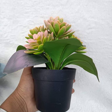Planta artificial decorativas 15 USD descripción 👇 Casa viva - Img 119896144