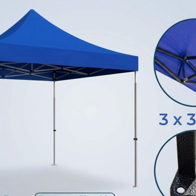 Carpa - 2/3