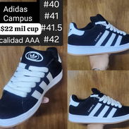 Adidas Campus - Img 55350003