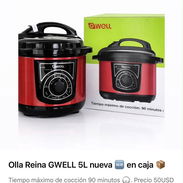 Olla Reina GWELL 5L nueva en caja - Img 57520511