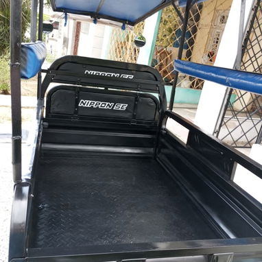 Vendo Triciclo Nippon SE T25 - Img 124629333