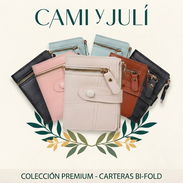 Estuche para dinero sencillo - Img 56821836