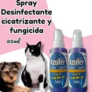 Azuler violetas gencianas Para Perros y Gatos - Img 54644023