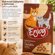 Alimento importado para gatos - Img 56426234