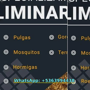 Veneno para Chinches 📦✅ - Img 125175870