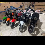 Moto marca(Furia Pro) - Img 55743673