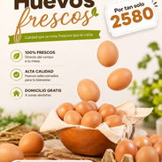 Venta de huevos - Img 55901149