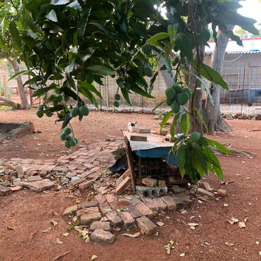 Finca en Santa Fe - Img 123420246